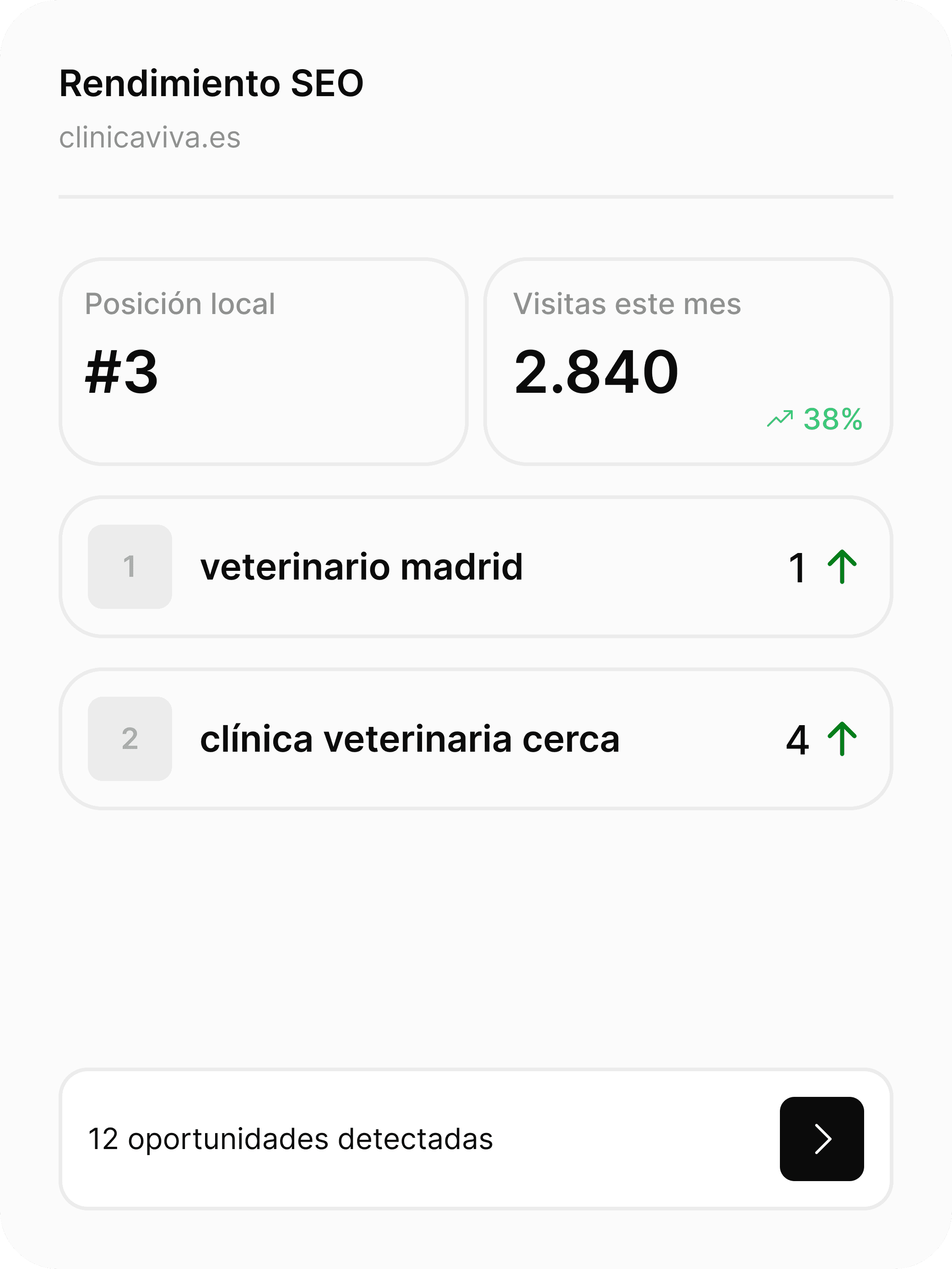 Panel con resultados de posicionamiento SEO local